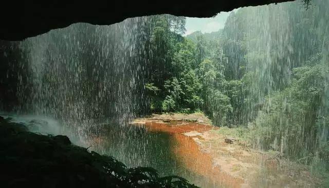 崩坏3